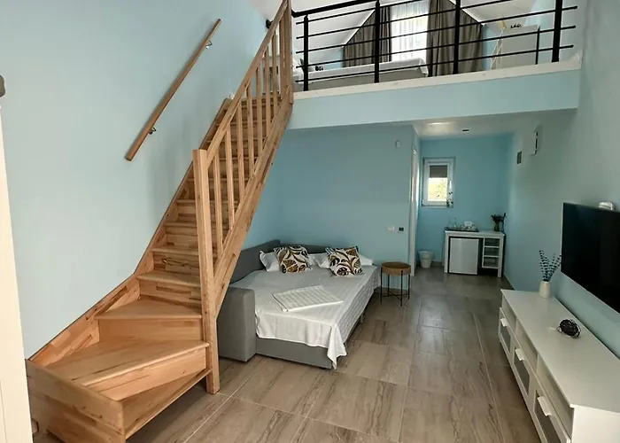 게스트하우스 Halta Pescarus 3*